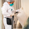 Spruce 5-in-1 Upholstery Cleaning - Image 4