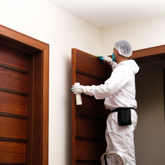 Spruce Premium Cleaning Spruce Cleaning Services