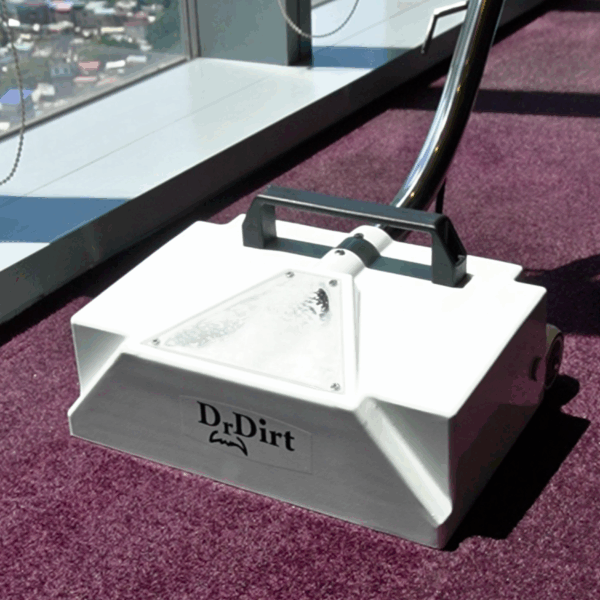 Carpet Cleaning